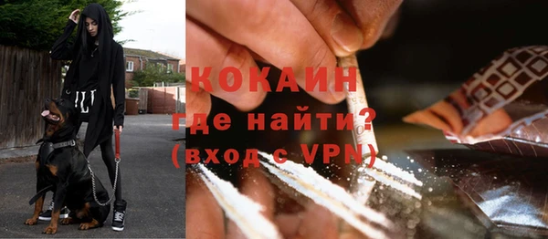 ALPHA PVP Каменск-Шахтинский