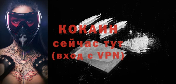 тгк Каменногорск