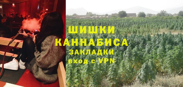 тгк Каменногорск