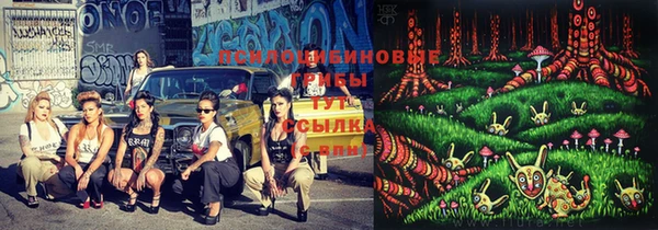 винт Приозерск