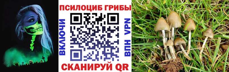 Псилоцибиновые грибы MAGIC MUSHROOMS  Лабинск 
